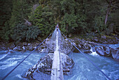 Tramper, Moraine Creek Swingbridge, Fiordland NP, South Island New Zealand
