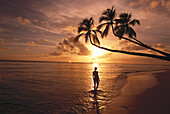 Sunset Silhouette, Turtle Beach, Near Mullins Bay St. Peters, Barbados