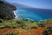 View from Lucia Lodge, Lucia, California, USA