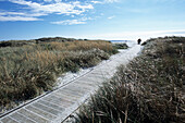 Dueodde Beach Boardwalk, Dueodde, Bornholm, Denmark