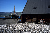 Drying Icelandic Saltfish, Turnhus Maritime Museum, Ísafjörður, Isafj'rdur, Ísafjarðarbær, Iceland