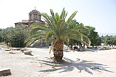 Dattelpalme vor der Kirche,  Kirche zu den heiligen Apostel, Antike Agora, Athen, Griechenland