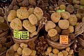 Sea Sponges for Sale, Old Town, Rhodes, Dodecanese Islands, Greece