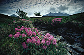 Black Cuillin Hills auf Skye, Innere Hebriden, Schottland, Großbritannien