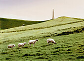 E. George, In the Presence of the Enemy, Lansdowne Monument, Cherhill Down, Wiltshire, England, Great Britain