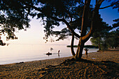 People on the lake shore in the evening, Lake Muritz, Mecklenburg Lake District, Mecklenburg-Western Pomerania, Germany