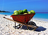 Kokosnüsse in einer Schubkarre am Strand, Carribbean Beach, Cartagena, Kolumbien, Südamerika