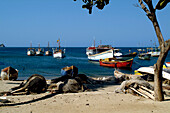 Boats of Taganga, Taganga, Santa Marta, Colombia, South America