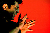 Klatschen zu Flamenco, World Flamenco Fair, Sevilla, Andalusien, Spanien