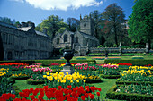 tulpen im Garten vor dem Lanhydrock Haus, Cornwall, England, Grossbritannien, Europa