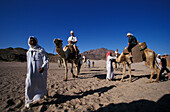 Touristen reiten auf Kamelen in der Wüste, Ägypten, Afrika