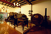 Wine Museum Vilafranca de Penedes, Exposition, Museo del Vi, Wine Museum, Vilafranca de Penedes, Catalonia, Spain