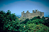 Die Ruine von Burg Harlech hinter Bäumen, Gwynedd, Wales, Grossbritannien, Europa