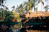 Natura Park Resort, Natura Park Resort, Bavaro/Punta Cana, Dominican Republic
