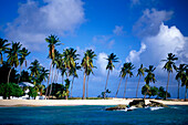 Bacardi Beach, Bacardi Beach at Cayo Levantado, Bahia de Samana, Dominican Republic