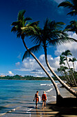 Couple, Beach, Palms Wind, Couple Playa Cacao in Las Terrenas, Dominican Republic