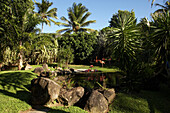 Jardin Botanique de Deshaies, Basse-Terre, Guadeloupe, Caribbean Sea, America
