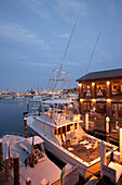 Deep Sea Fishing Boats at the harbour, Harbour Walk, Key West Florida, USA