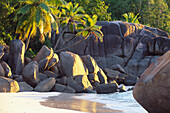 Strand, Anse Takamaka, Mahe Seychellen