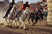 Fest der Stiere der Camargue, Stiereintreiben, Aigues-Mortes, Gard, Provence, Frankreich