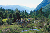 A couple horse riding, Fjell am Nordfjord, Norway