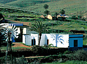 Windrad, Agua de Bueyes, Fuerteventura, Kanarische Inseln, Spanien