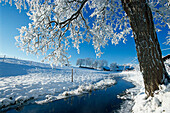 Winterlandschaft bei Münsing, Bayern, Deutschland