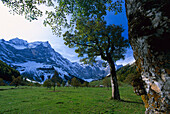 Großer Ahornboden, bei Eng, Tirol, Österreich