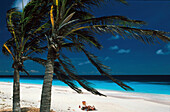 Pink Beach, Bonaire, Niederlaendische Antillen Karibik