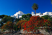 Agaete mit botanischem Garten, Gran Canaria, Kanarische Inseln, Spanien