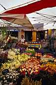 Flowers at flower market, St. Tropez, Cote d´Azur, Provence, France, Europe