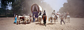 Pilgrims travelling afoot, on horseback and with oxcarts on the sandy Raya Real, Andalusia, Spain