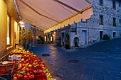 Fruitshop, Castellina in Chianti, Chianti, Tuscany, Italy
