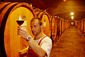 Badia a Coltibuono, vine cellar, Gaiole, Chianti, Tuscany, Italy