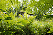 Bauernhaus im Freilichtmuseum Maihaugen, Lillehammmer, Oppland, Norwegen