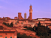 Cityscape View, Siena, Tuscany, Italy