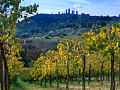 Blick vom Weinberg auf  San Gimignano, San Gimignano, Toskana, Italien