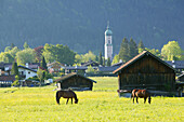 View of Garmisch, from the foot of Hausberg, Garmisch, bavaria, germany