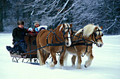 Family enjoying a sleigh ride in a horse drawn sleigh, Winter, Upper Bavaria, Bavaria, Germany
