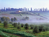 Fog over the valley, Val d'Orcia, Tuscany, Italy