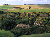 Typical Landscape, Spring, near Pienza Italy