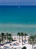 Beachlife, Palmtrees, Platja de S' Arenal, Bahia de Palma, Majorca, Spain
