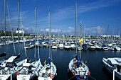 Blick auf Boote im Jachthafen, Port Olimpic, Barcelona, Spanien, Europa