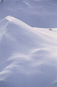 Group snowshoeing, Schellenberg, Stubai Alps, Austria