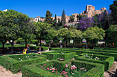 Parkanlage und die Festung Alcazaba im Sonnenlicht, Costa del Sol, Malaga, Andalusien, Spanien, Europa