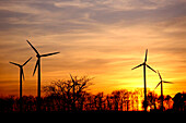 Wind park at sunset, Wittstock, Mecklenburg-Western Pomerania, Germany