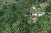 Tamargada, La Gomera Kanarische Inseln