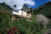 Country house, vallye of Bechijigua, Roque Agando, La Gomera, Canary Islands, Spain