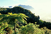 View over Cirque de Salazie, Piton de Neige, Ille de la Réunion Indian Ocean