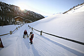 Two children sledging in the snow, Livigno, Italy